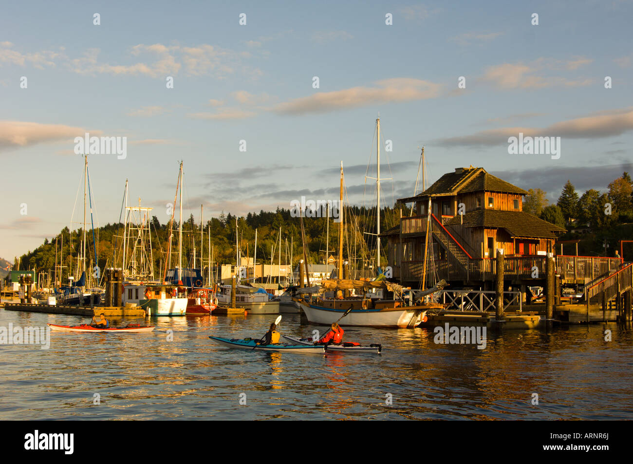 Kayakers paletta nella parte anteriore del villaggio, Cowichan Bay, l'isola di Vancouver, British Columbia, Canada. Foto Stock