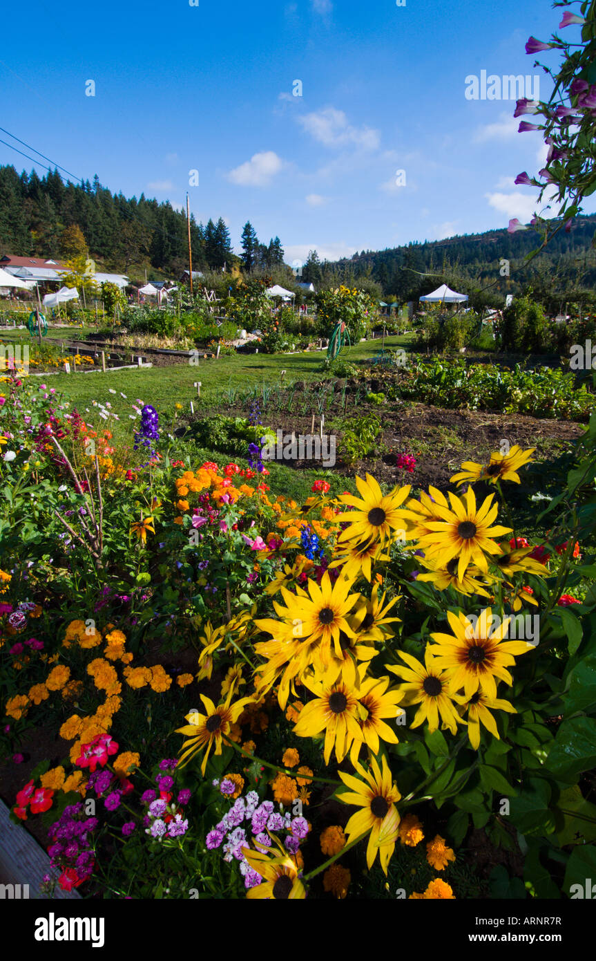 La provvidenza Agriturismo giardino, Cowichan Bay, l'isola di Vancouver, British Columbia, Canada. Foto Stock