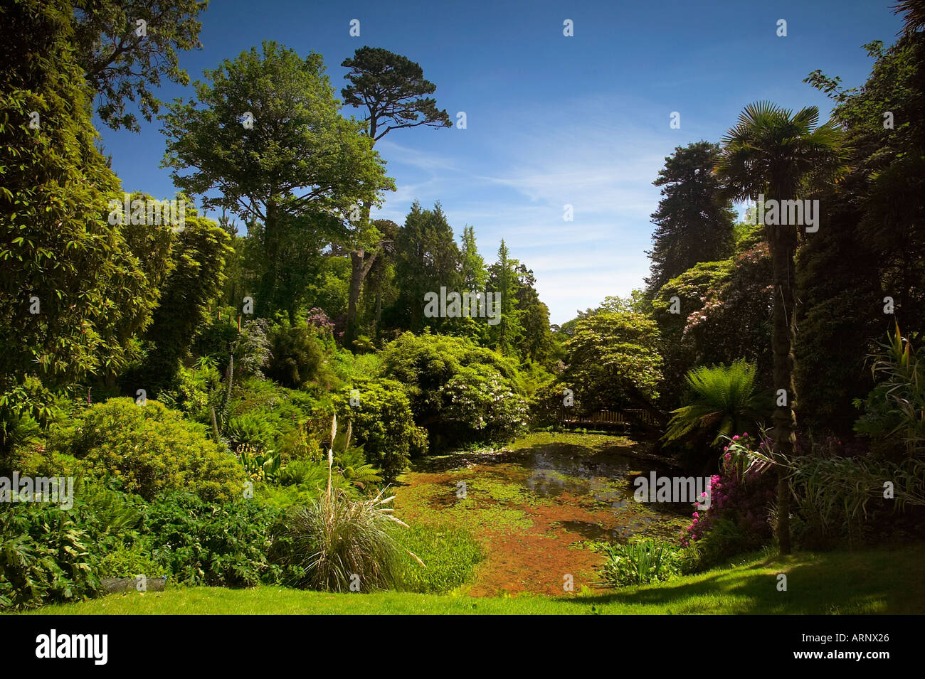 Il Lost Gardens of Heligan. Foto Stock