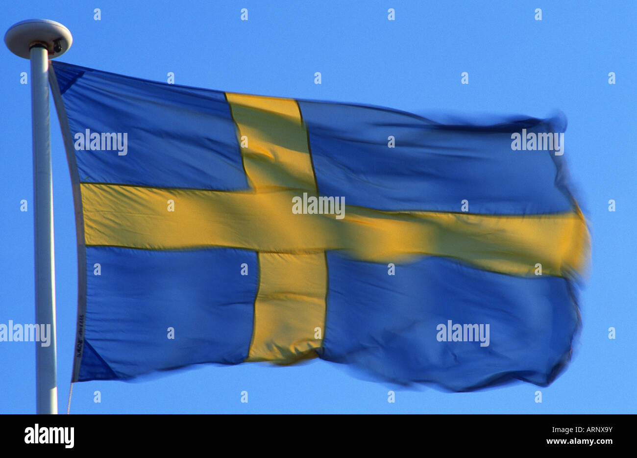 Bandiera della Svezia Foto Stock