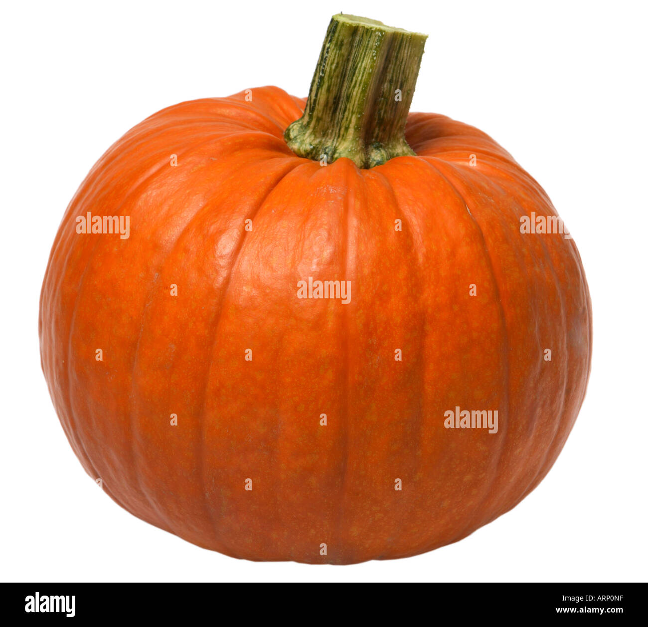 La zucca isolati su sfondo bianco Foto Stock