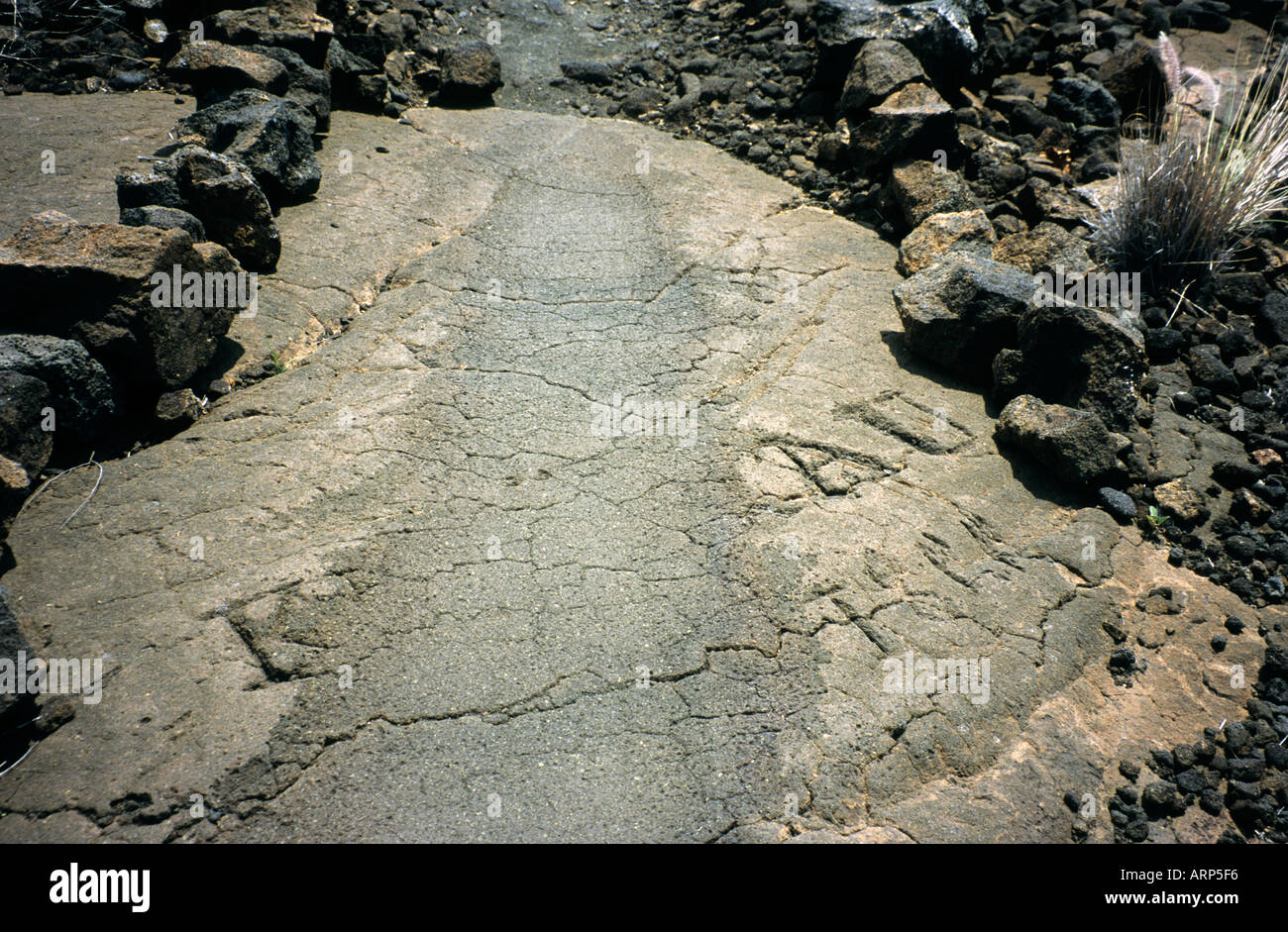 Ala Kahakai National Historic Trail (King's Trail) mentre passa attraverso il sito di petroglifici a Waikoloa Resort, Big Island, Hawaii, USA. Foto Stock