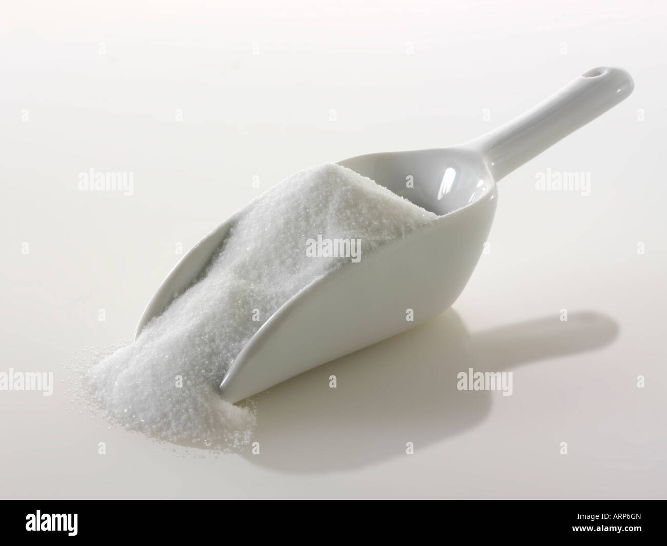 Lo zucchero di incidenza continua a vivere su sfondo bianco Foto Stock