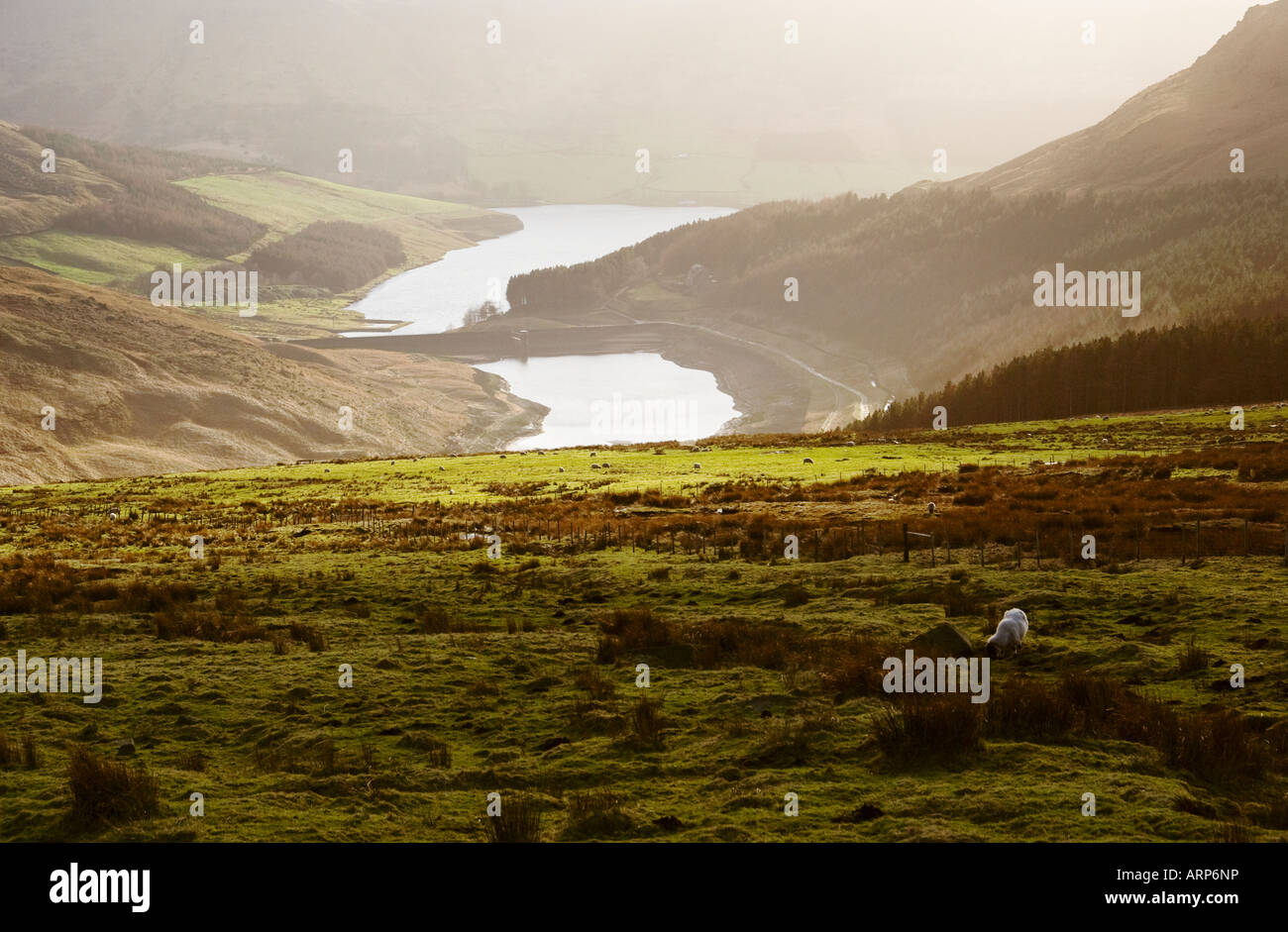Saddleworth Moor sul Yorkshire lancashire frontiera nel febbraio 2008 Foto Stock