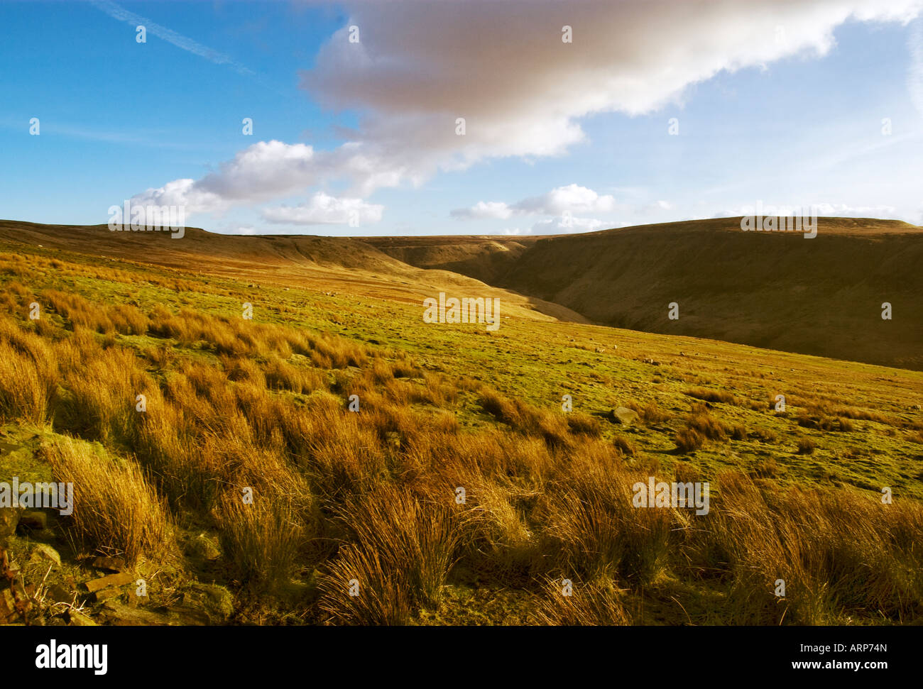 Saddleworth Moor sul Yorkshire lancashire frontiera nel febbraio 2008 Foto Stock