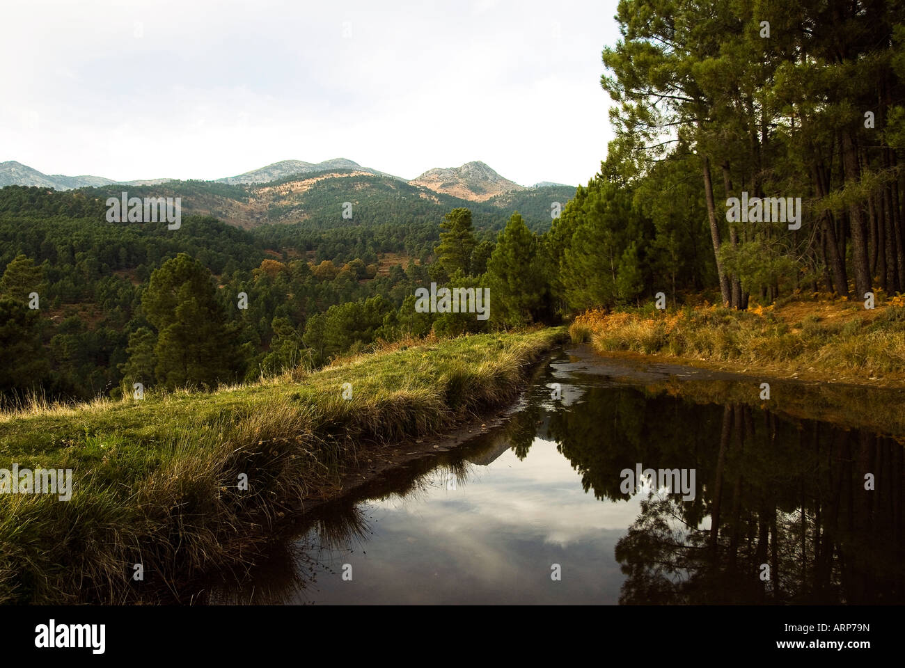 Sierra de Gredos Avila Foto Stock