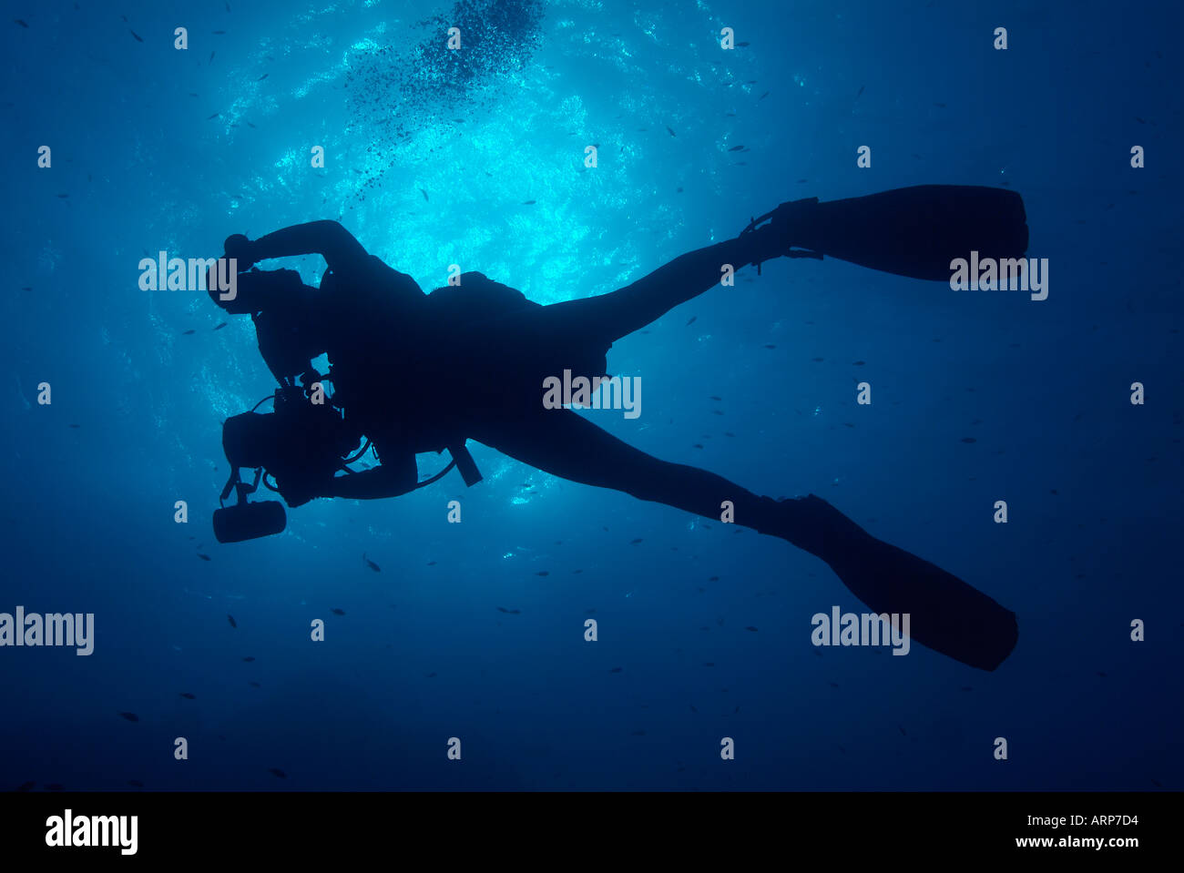 Stagliano fotografo subacqueo nel mare Mediterraneo Foto Stock