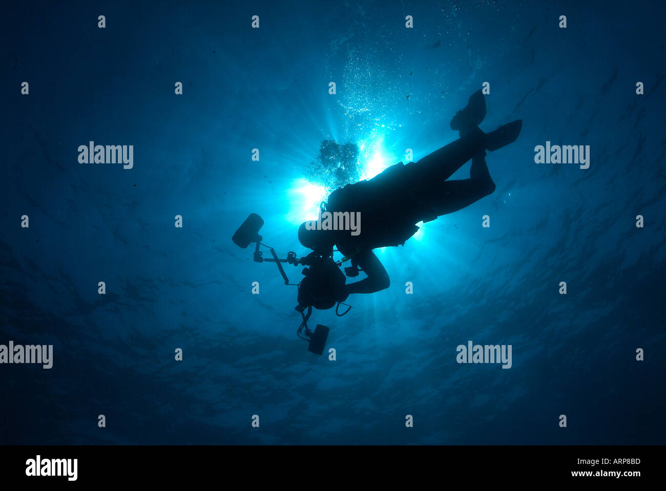 Stagliano fotografo subacqueo nel mare Mediterraneo Foto Stock