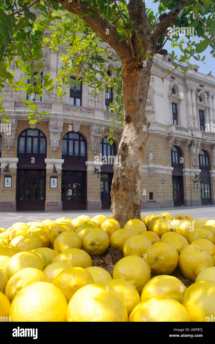 Lemon Tree nella piazza del teatro Arriaga Foto Stock