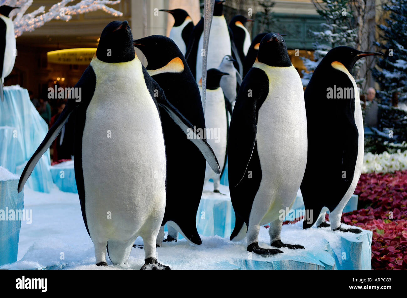 Un paesaggio fotografia del pinguino imperatore Display di Natale al Bellagio Hotel e Casinò di Las Vegas, Nevada Foto Stock
