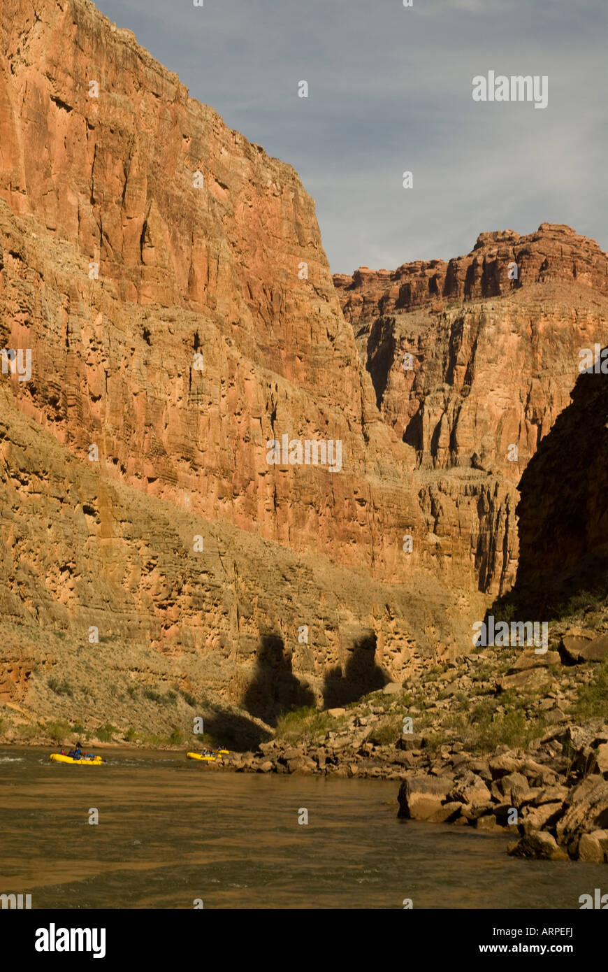 Canyon nani travi a vista sul fiume Colorado nel Parco Nazionale del Grand Canyon Arizona Foto Stock