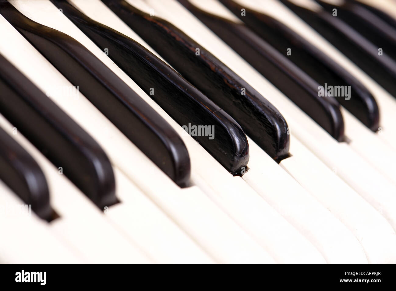 Primo piano della vecchia tastiera della fisarmonica Foto Stock