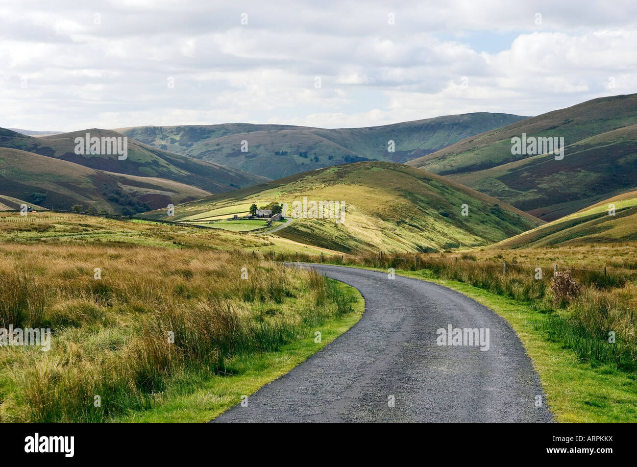 Strada di campagna e terreni agricoli al di sotto di Geordie's Hill, a sud-est di Teviothead. A sud-ovest di Hawick nella regione di frontiere, Scotland, Regno Unito Foto Stock