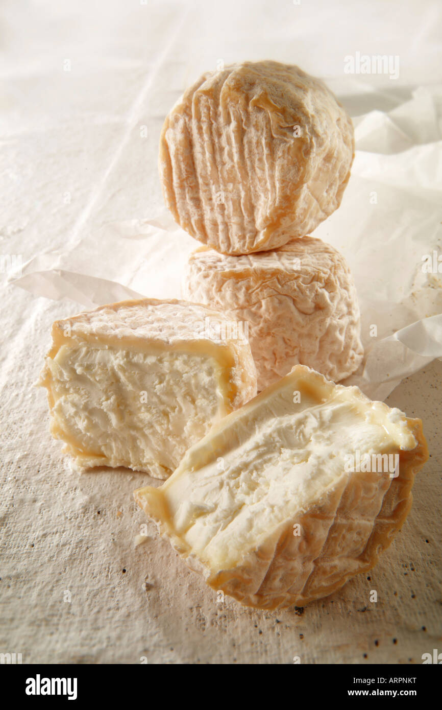 Francese organici i formaggi di capra Foto Stock