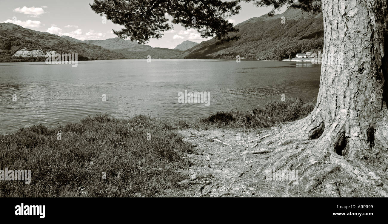 PANORAMA DI Loch Lomond Tinta seppia Foto Stock