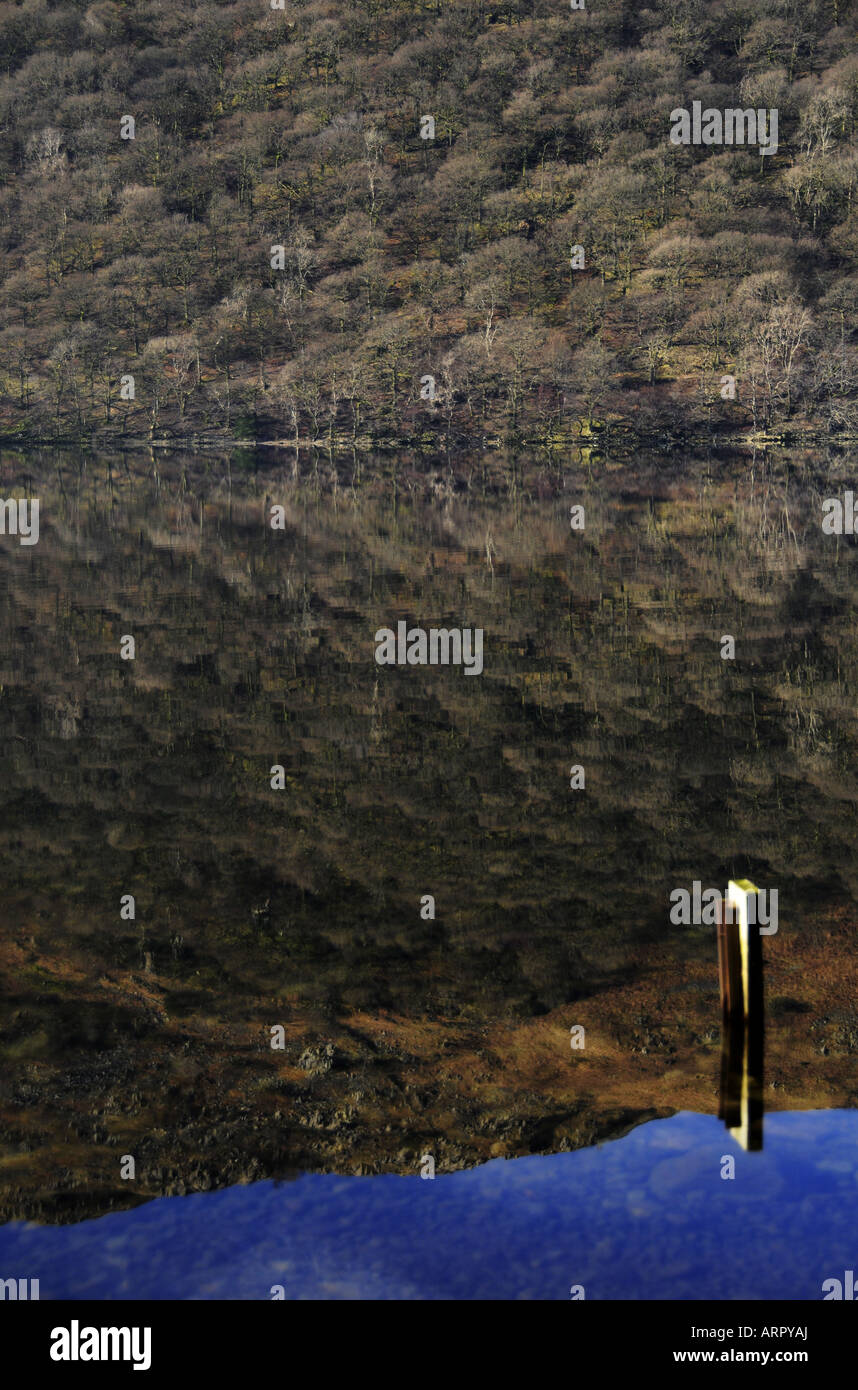 La riflessione di alberi e di montagna in Brotherswater. Foto Stock