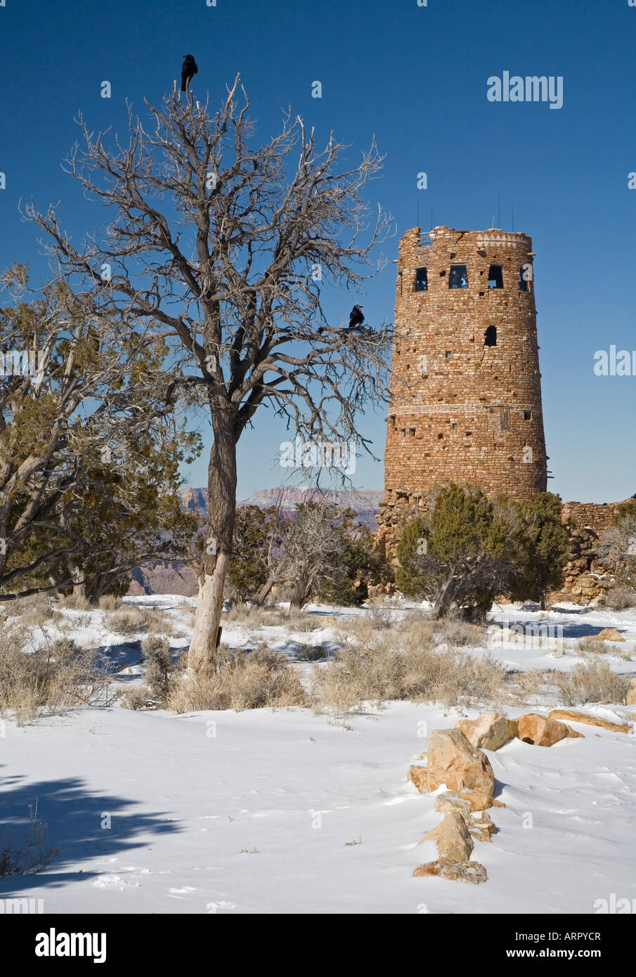 La torre di avvistamento al Grand Canyon in inverno Foto Stock