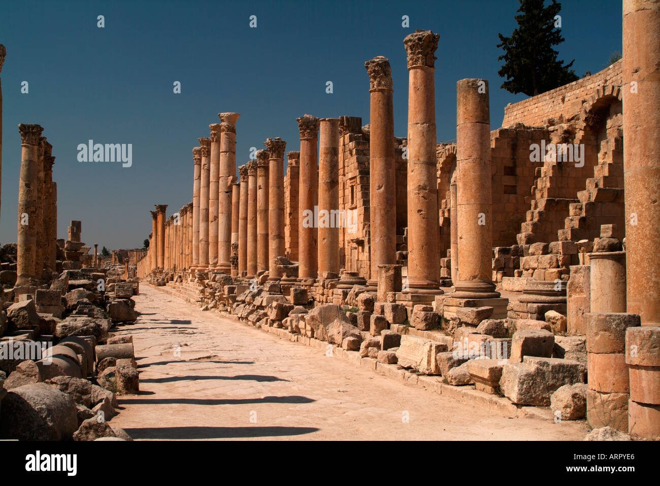 Colonnato strada guardando a sud della città romana di Jerash Giordania Foto Stock