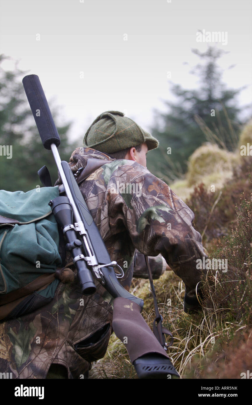Un cervo stalker stalking cervi nel bosco Foto Stock