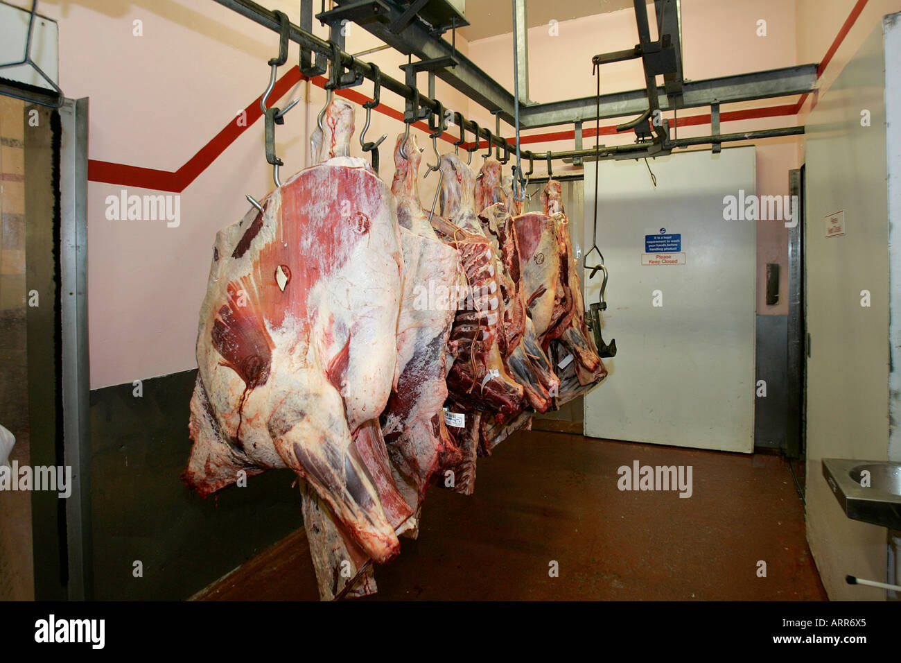 Macello di carcasse di carne morta pig agricoltura bestiame chiller pancetta carni bovine i lati macello carcassa cibo agricola Agriturismo Foto Stock