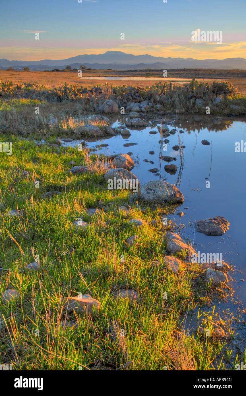 Inizio morining sunrise oltre le piscine primaverile Santa Rosa Plateau Riserva Ecologica riverside county california usa Foto Stock