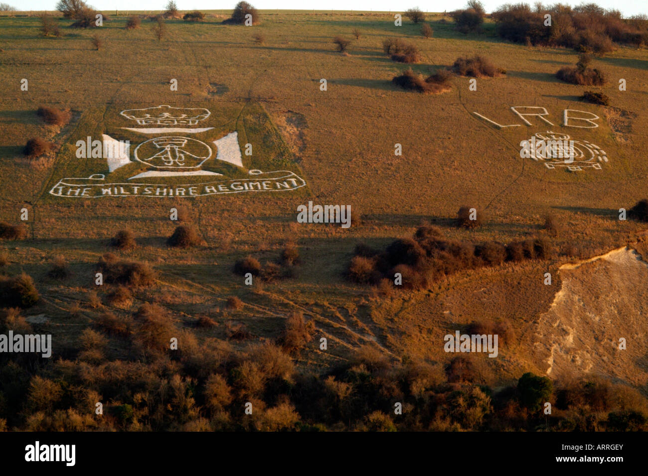 Regimental medaglie su Chalk Hillside Fovant Wiltshire, Inghilterra REGNO UNITO Foto Stock