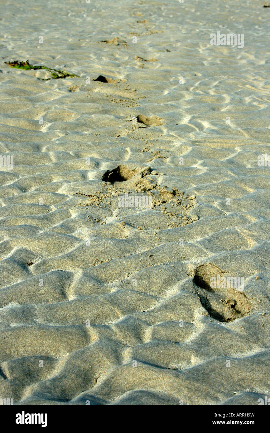 Orme nella sabbia in spiaggia. Foto Stock