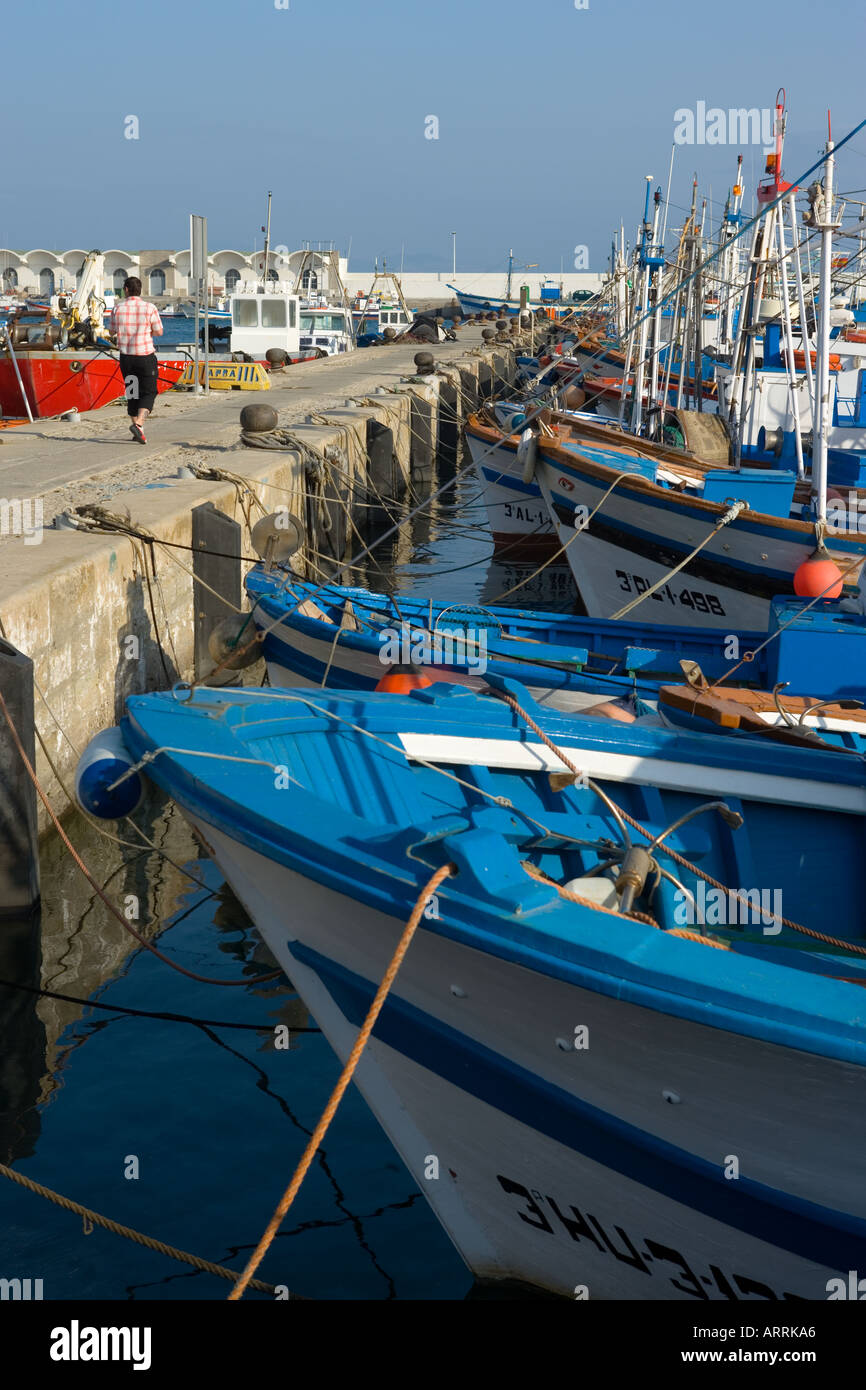 Tarifa la provincia di Cadiz Cadice Costa de la luz Spagna Pescherecci nel porto Foto Stock