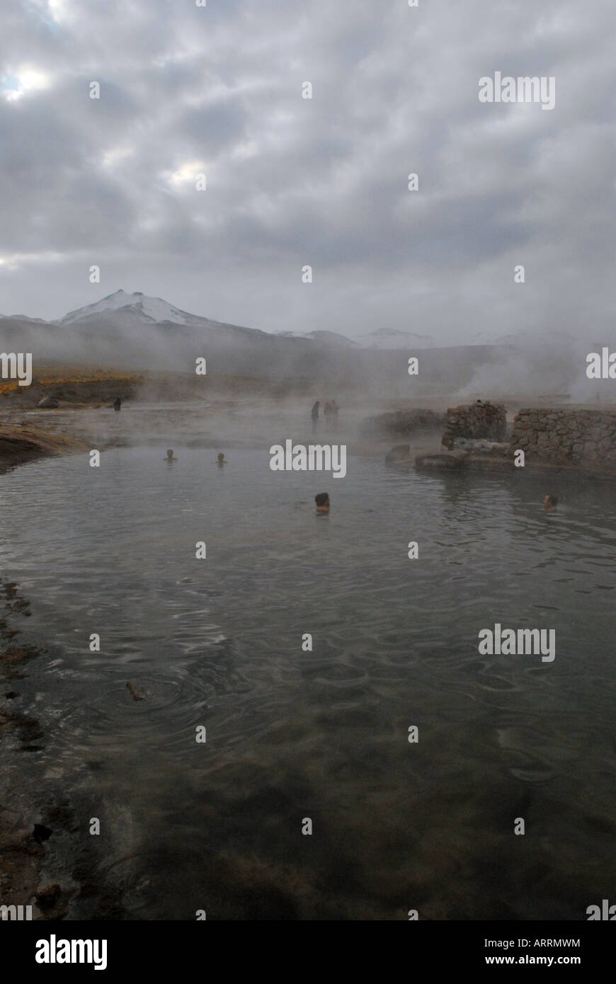 El Tatio geyser deserto di Atacama Cile Foto Stock
