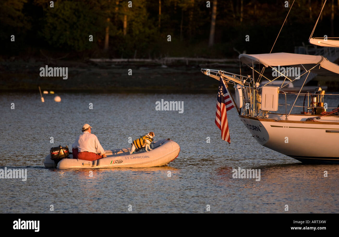 Un uomo e il suo cane tornare alla loro ancorati in barca a vela al tramonto nel porto di pulpito, Vinalhaven, Penobscot Bay, Maine, Stati Uniti d'America. Foto Stock