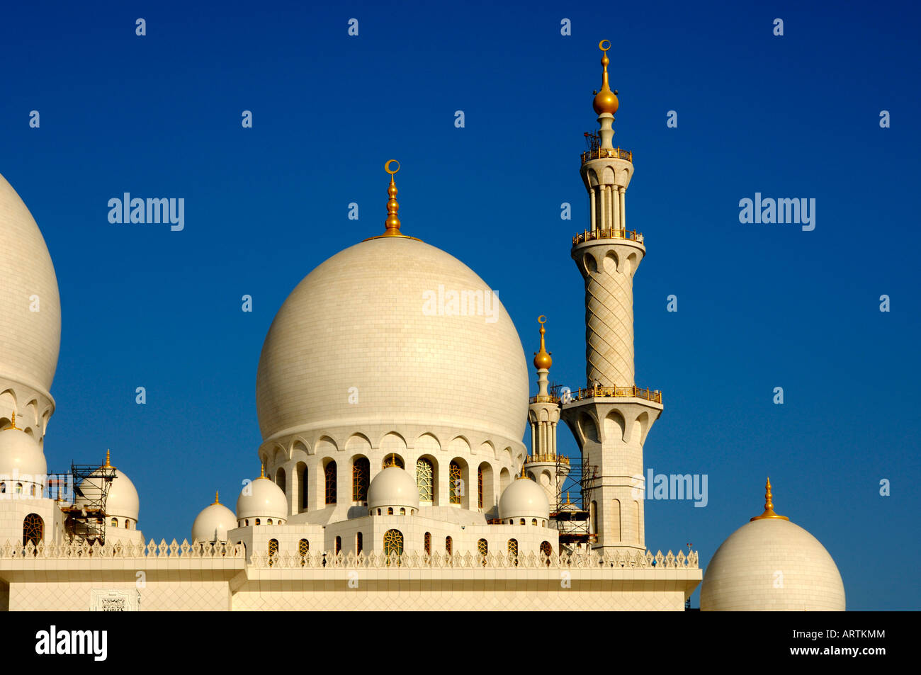Sheikh Zayed Bin Sultan Al Nahyan mosque grande Moschea di Abu Dhabi Emirati Arabi Uniti Foto Stock