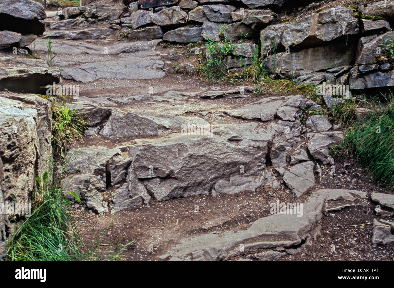 Natural scalinata in pietra Foto Stock