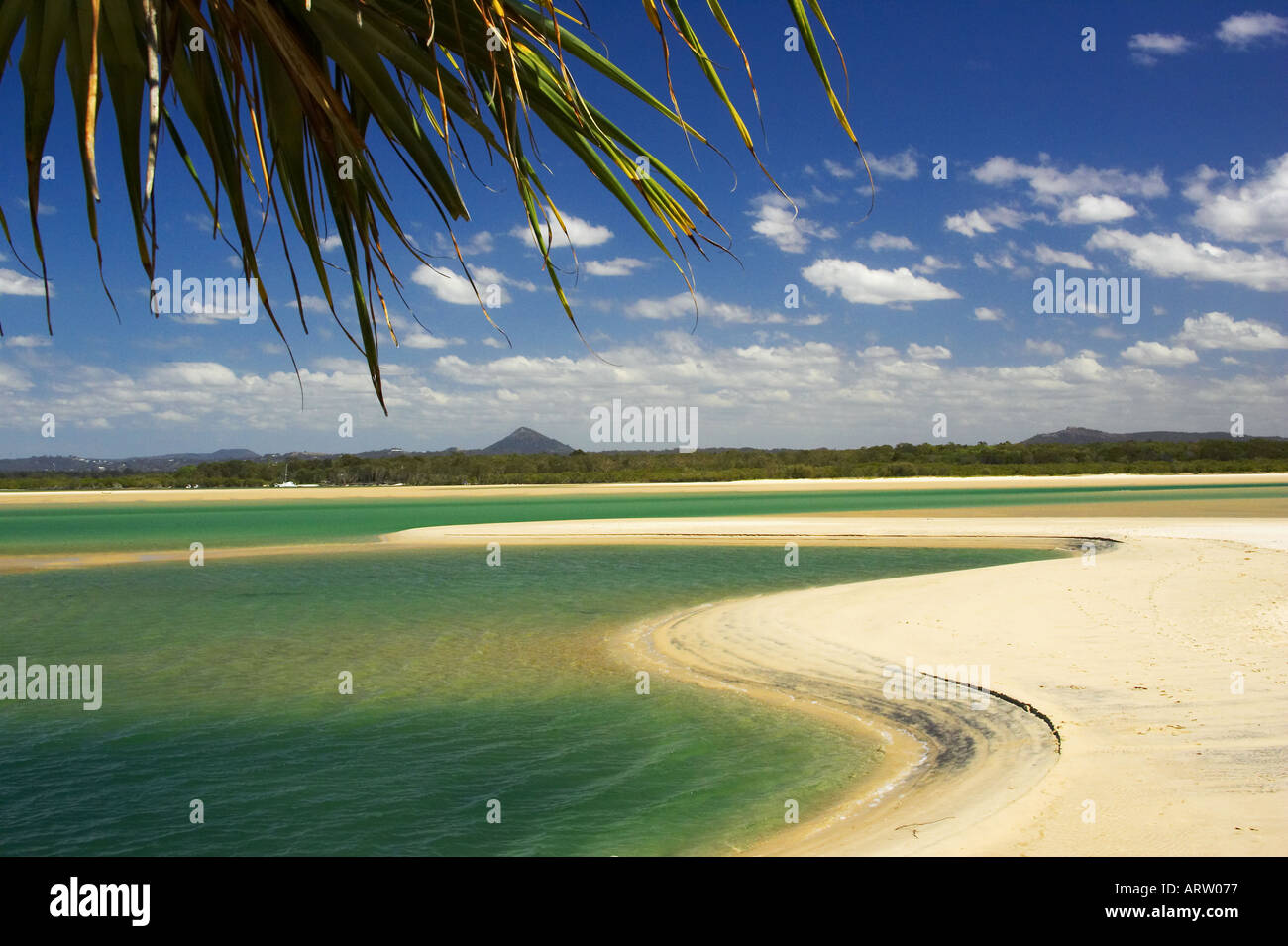Noosa aspirazione teste di Noosa Sunshine Coast di Queensland in Australia Foto Stock