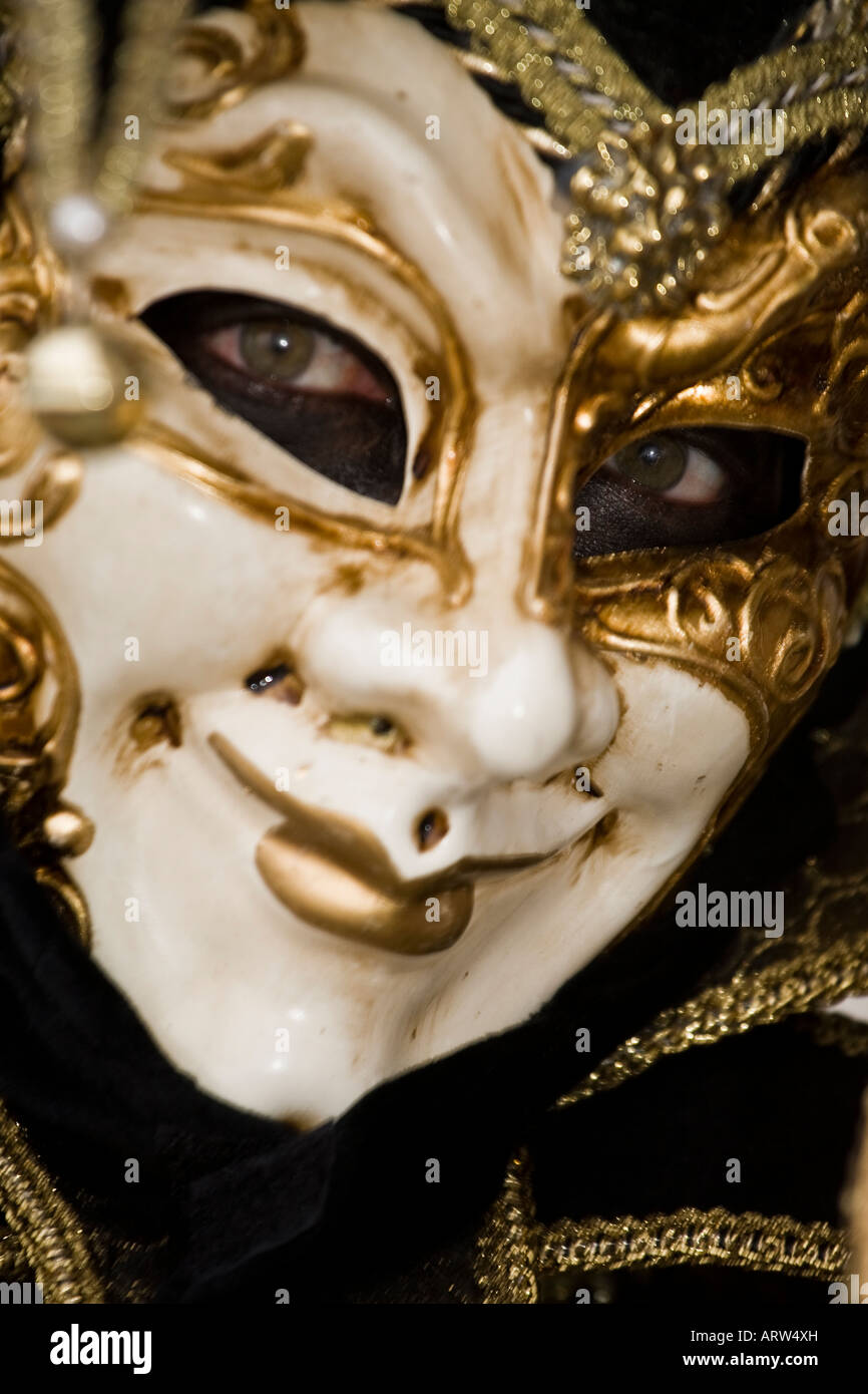 Il ritratto di una persona in costume di carnevale, il Carnevale di Venezia, Veneto, Italia Foto Stock