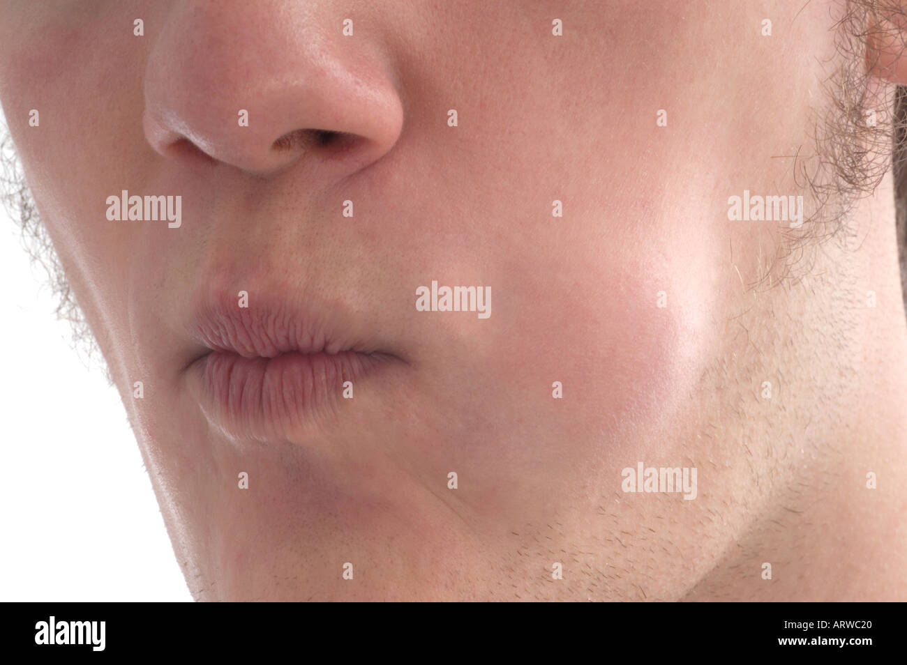 Tongue in Cheek Foto Stock