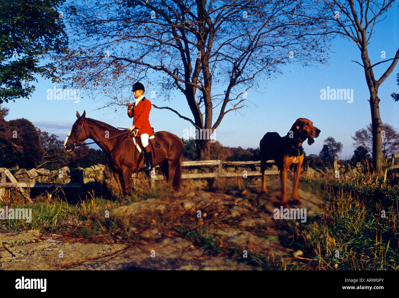 La Fox Hunt Foto Stock