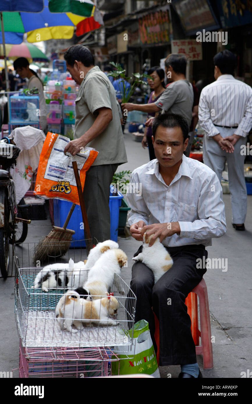 Il Pet Street Market mercato pacifica Qingping Lu Canton Guangzhou China cuccioli in vendita Foto Stock