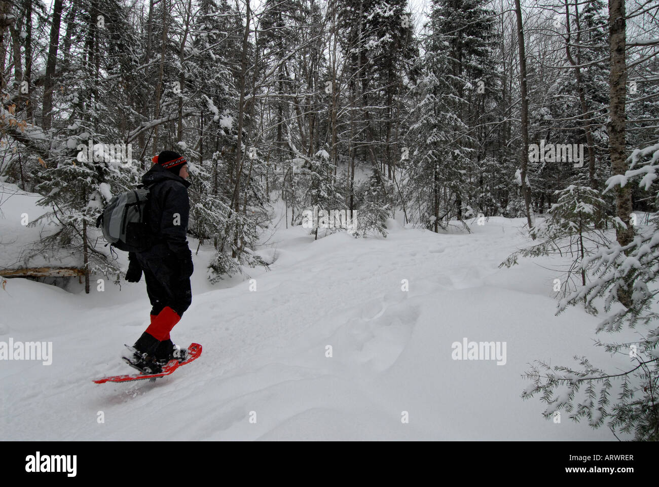 Uomo di fare escursioni con le racchette da neve a Mont Tremblant park Laurentians Québec Canada Foto Stock