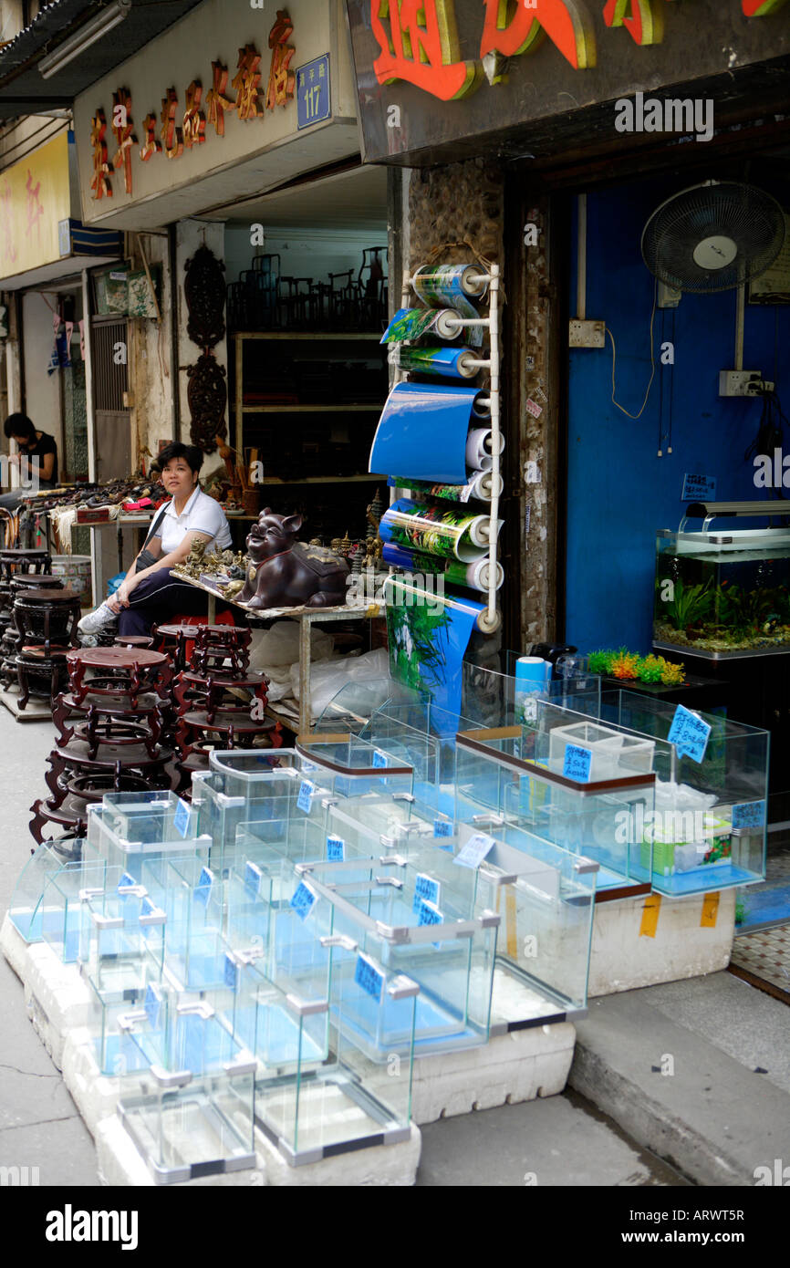 Il Pet Street Market mercato pacifica Qingping Lu Canton Guangzhou China pesce Aquriums serbatoi per la vendita Foto Stock