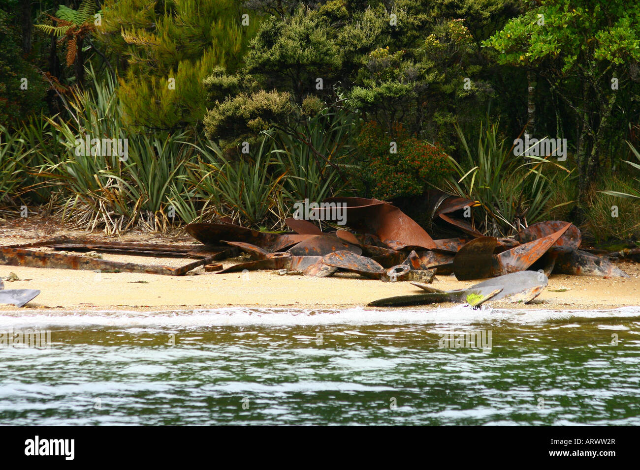 STAZIONE DI CACCIA ALLE BALENE IN ROVINA, Paterson Inlet, Stewart Island, Nuova Zelanda Foto Stock