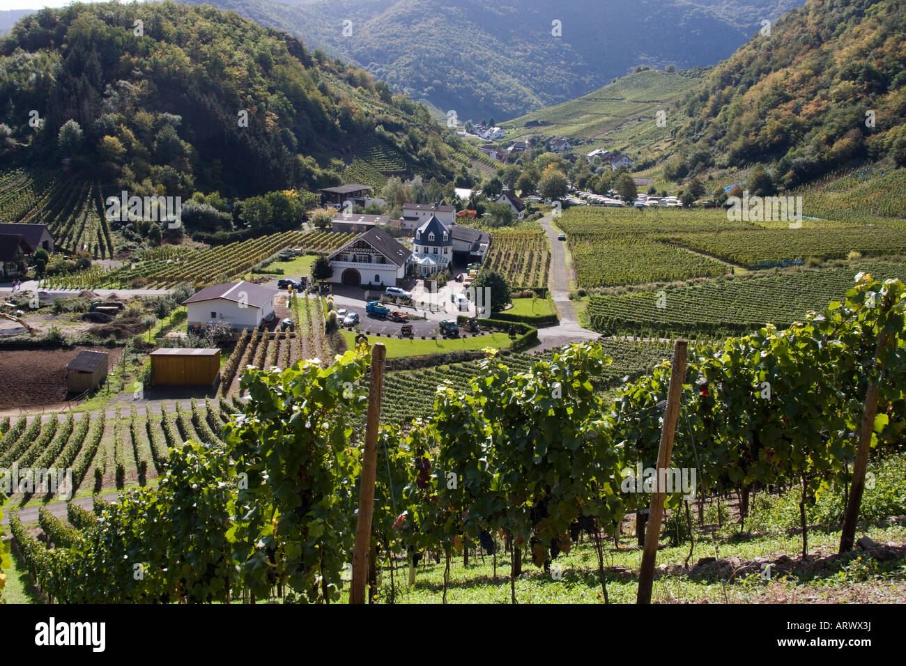 Mayschoss vigneti Valle dell'Ahr Eifel Germania Foto Stock