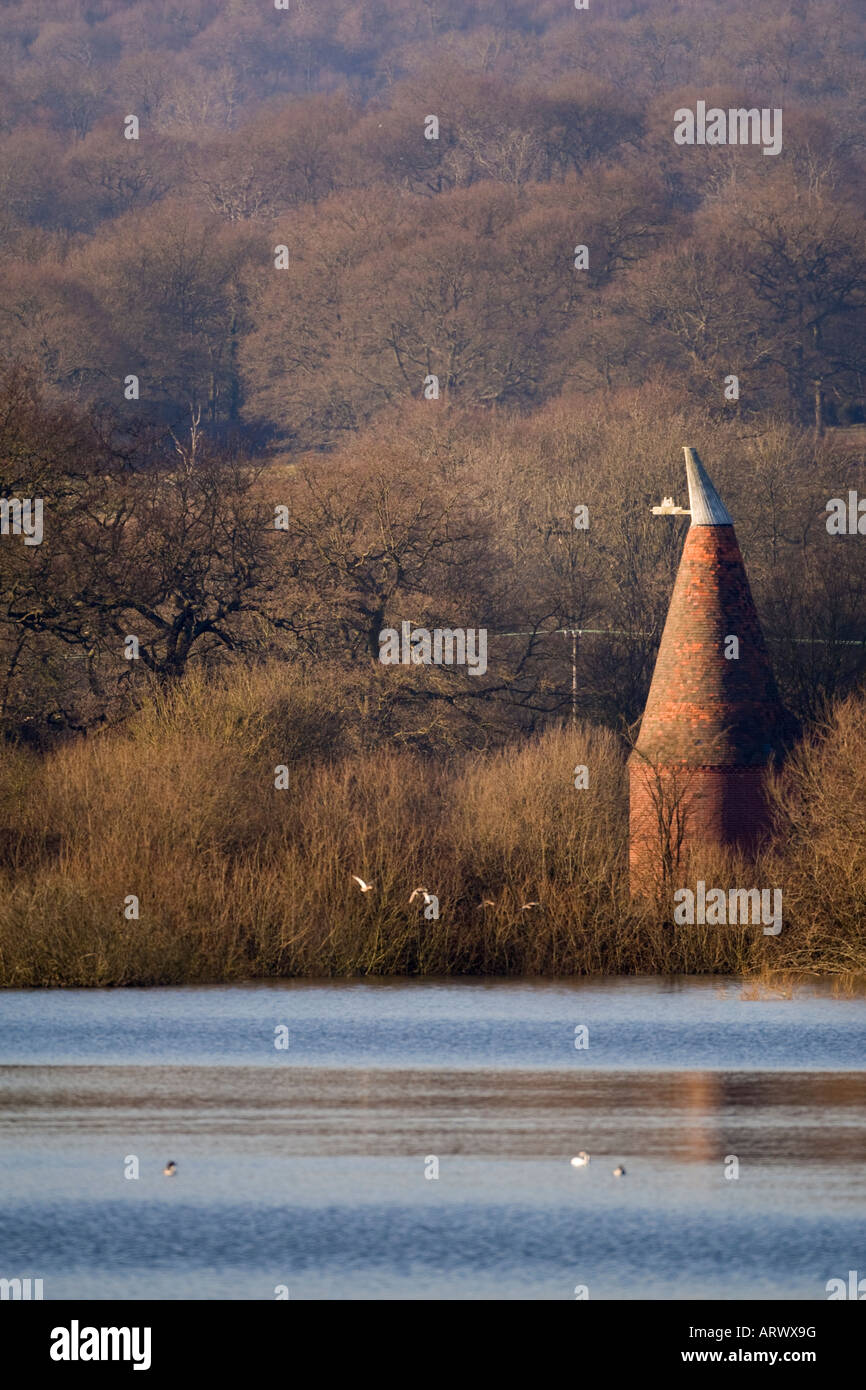 Vista su fronda serbatoio di faggio con oast house in alberi vicino a Sevenoaks Kent UK Winter Foto Stock