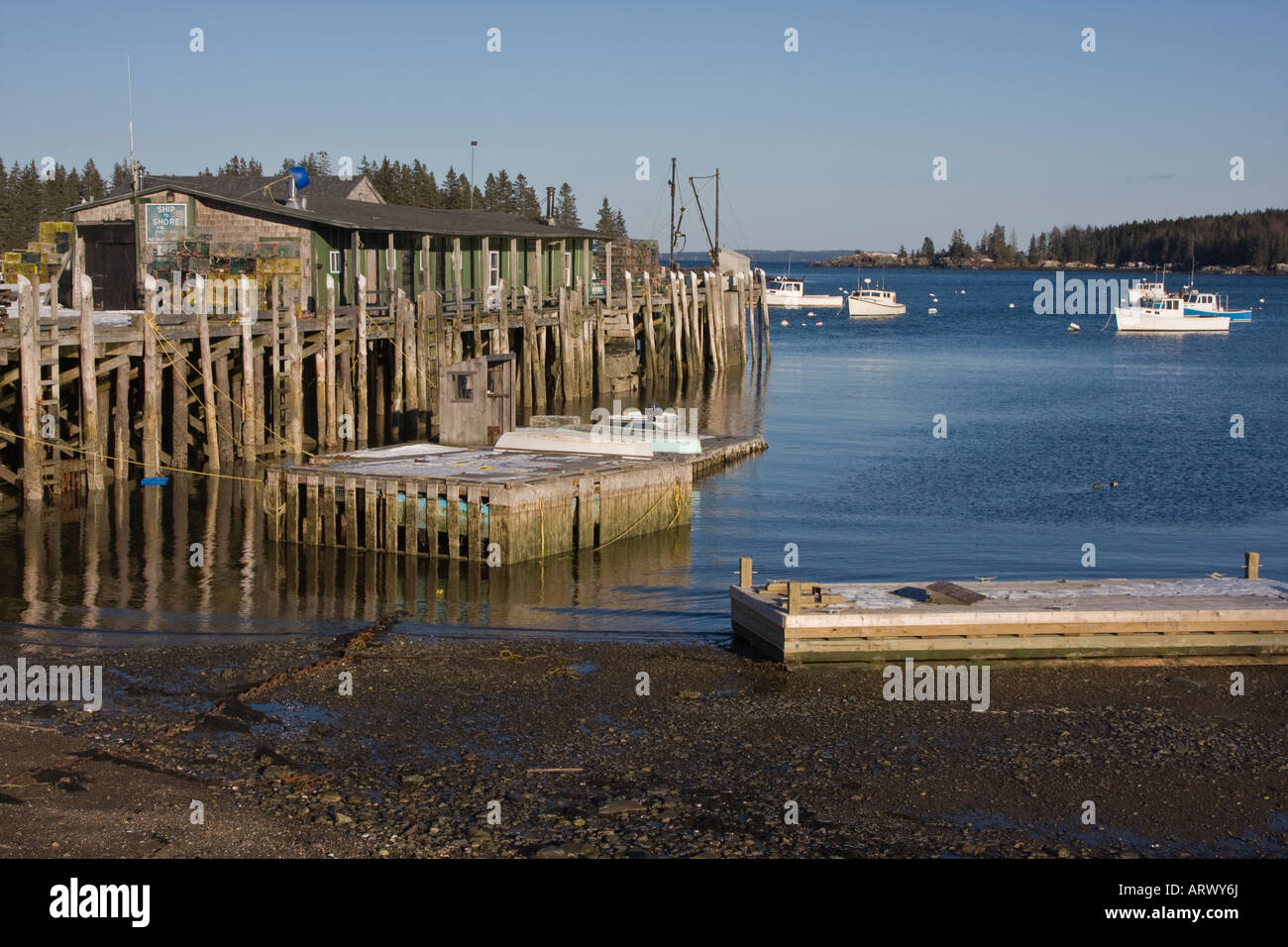 La pesca dell'aragosta Harbour sulla baia di Penobscot in testa i gufi, Maine Foto Stock