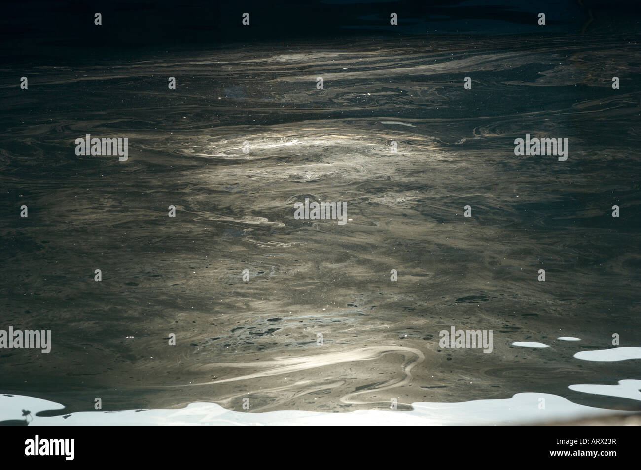 Olio combustibile inquinamento galleggiante nel porto di Portavogie Foto Stock
