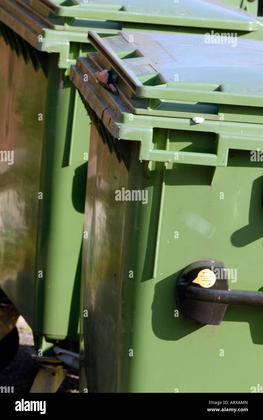 Impennata degli scomparti di color verde recyclin contenitori con coperchi allineate in righe di al di fuori di un locale commerciale Foto Stock