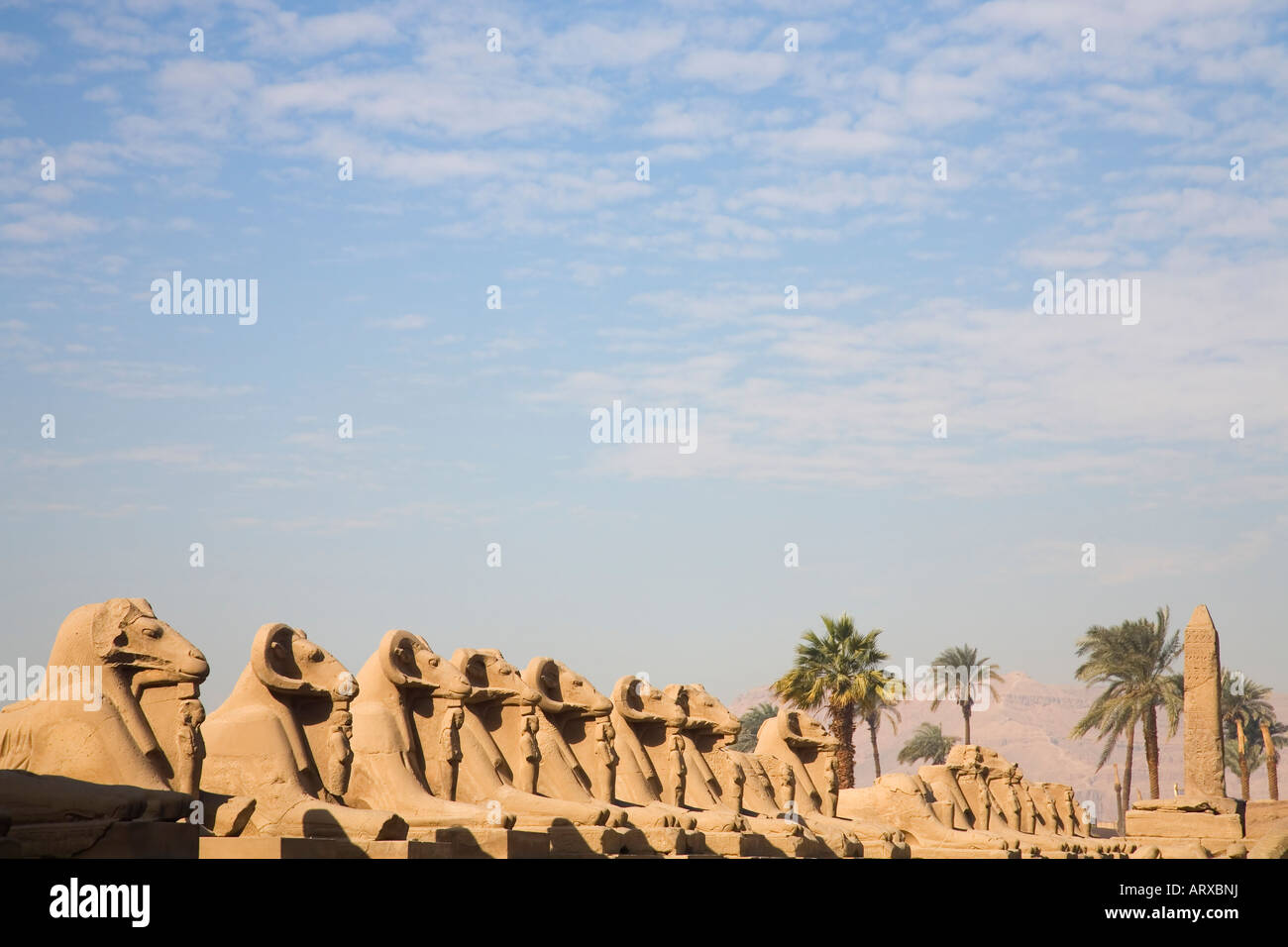 Ram-ram con testa capitanato sphynx sphinx sphynxes sfingi avenue Tempio di Karnak Sito Patrimonio Mondiale dell'UNESCO Luxor Egitto Nord Afric Foto Stock