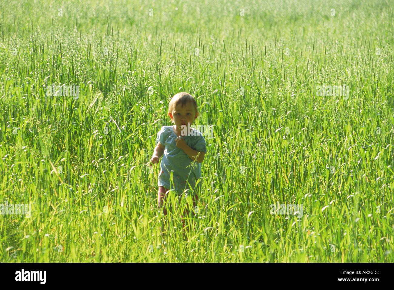 Ragazza 2-4 anni in piedi da solo in un campo di erba alta Foto Stock