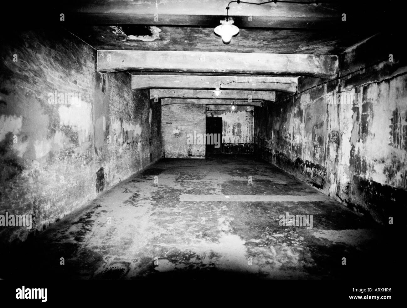 La camera a gas, Auschwitz Foto stock - Alamy