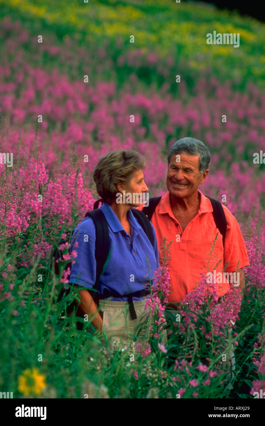 Ritratto di coppia senior escursionismo in un campo di fiori viola in montagna Foto Stock Ritratto di coppia senior escursionismo in un campo di fiori viola in montagna Foto Stock