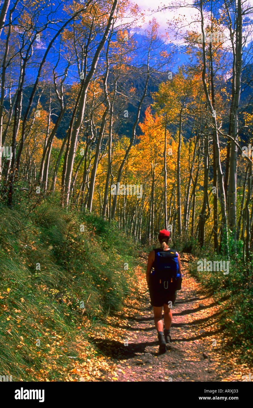 Donna che indossa uno zaino ed escursionismo in autunno lungo il Sneffels Highline Trail in San Juan Mountains Colorado Foto Stock Donna che indossa uno zaino ed escursionismo in autunno lungo il Sneffels Highline Trail in San Juan Mountains Colorado Foto Stock